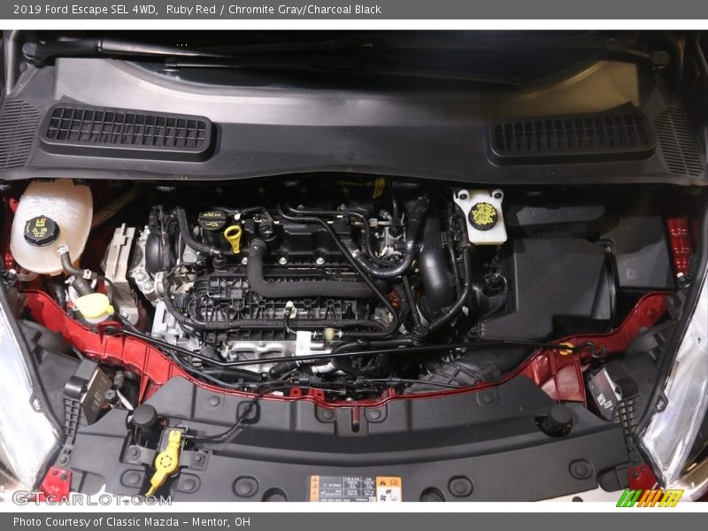 Ruby Red / Chromite Gray/Charcoal Black 2019 Ford Escape SEL 4WD