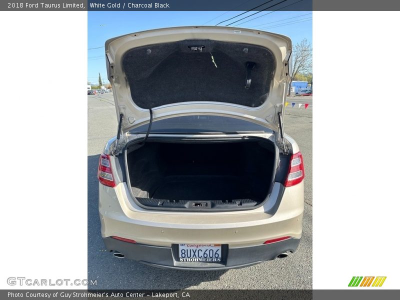 White Gold / Charcoal Black 2018 Ford Taurus Limited