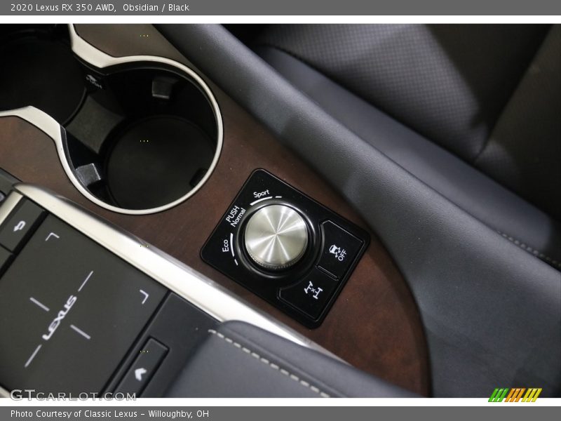 Obsidian / Black 2020 Lexus RX 350 AWD