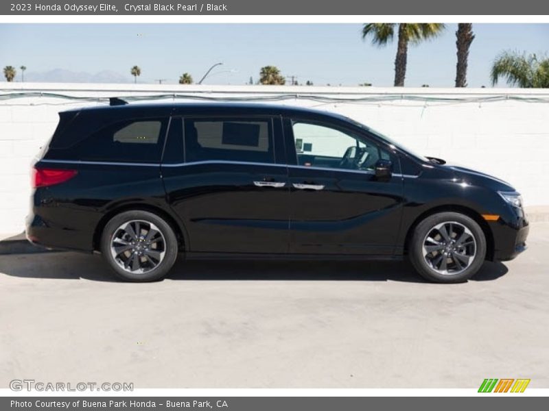 Crystal Black Pearl / Black 2023 Honda Odyssey Elite