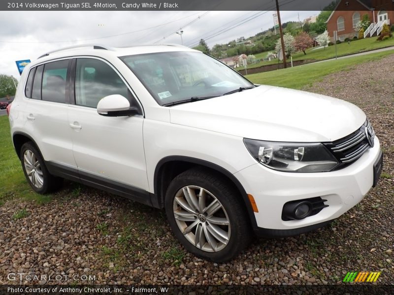 Candy White / Black 2014 Volkswagen Tiguan SEL 4Motion