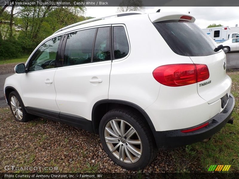 Candy White / Black 2014 Volkswagen Tiguan SEL 4Motion