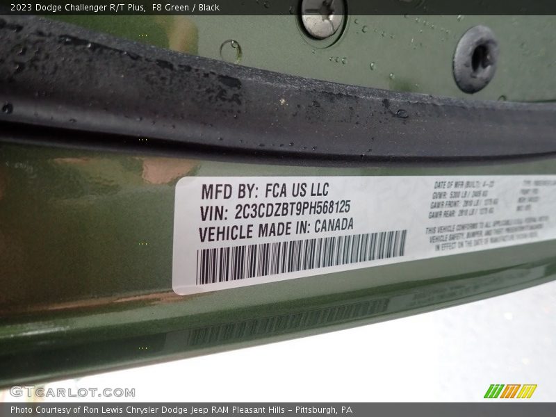 F8 Green / Black 2023 Dodge Challenger R/T Plus