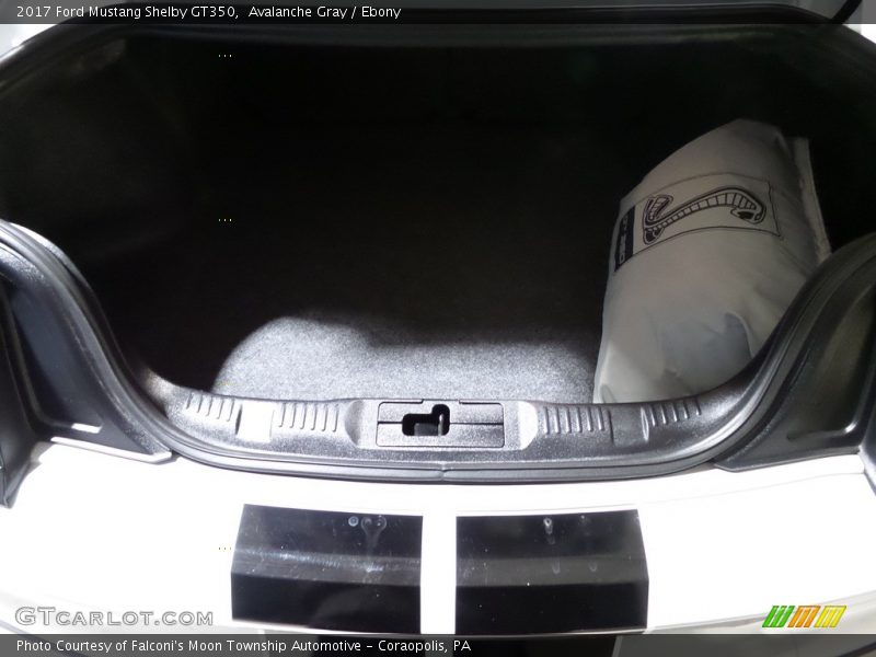 Avalanche Gray / Ebony 2017 Ford Mustang Shelby GT350