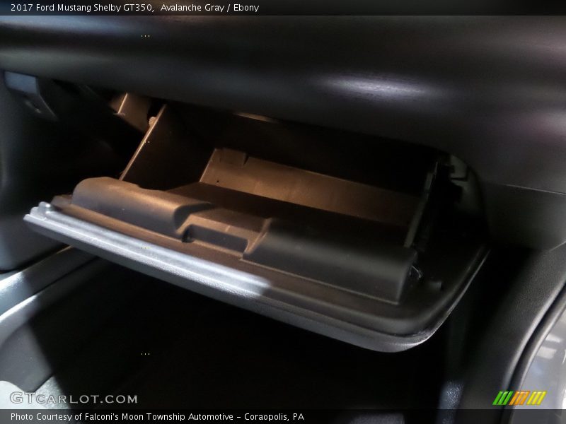 Avalanche Gray / Ebony 2017 Ford Mustang Shelby GT350