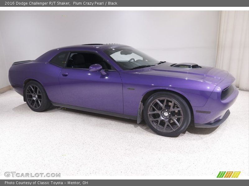 Plum Crazy Pearl / Black 2016 Dodge Challenger R/T Shaker