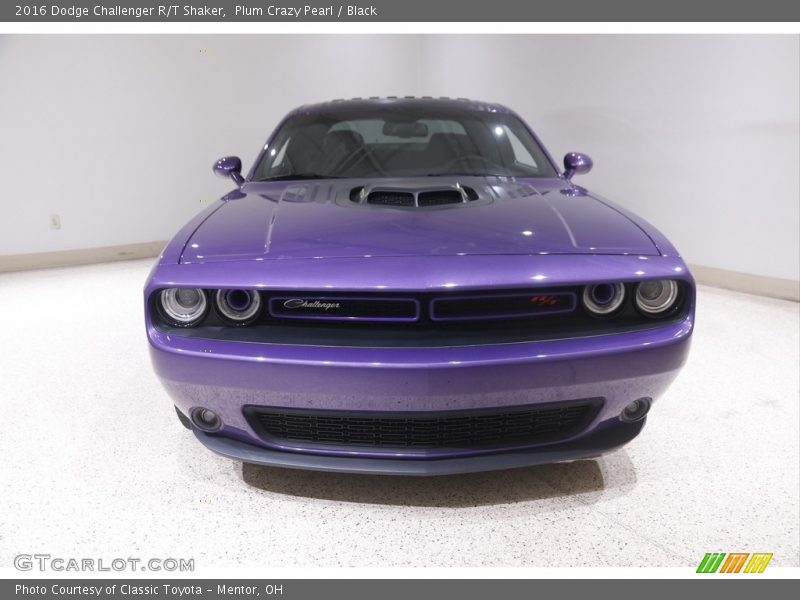 Plum Crazy Pearl / Black 2016 Dodge Challenger R/T Shaker