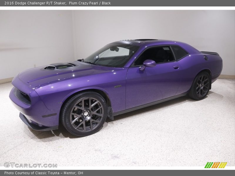 Plum Crazy Pearl / Black 2016 Dodge Challenger R/T Shaker