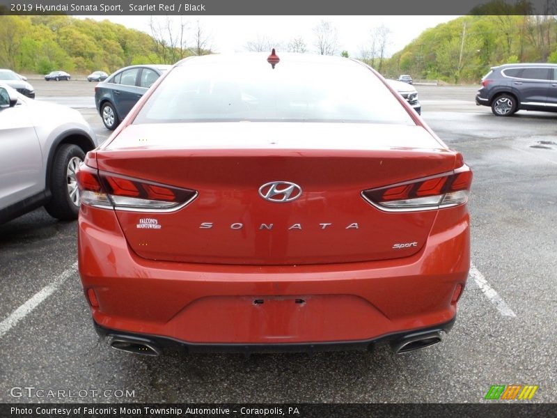 Scarlet Red / Black 2019 Hyundai Sonata Sport