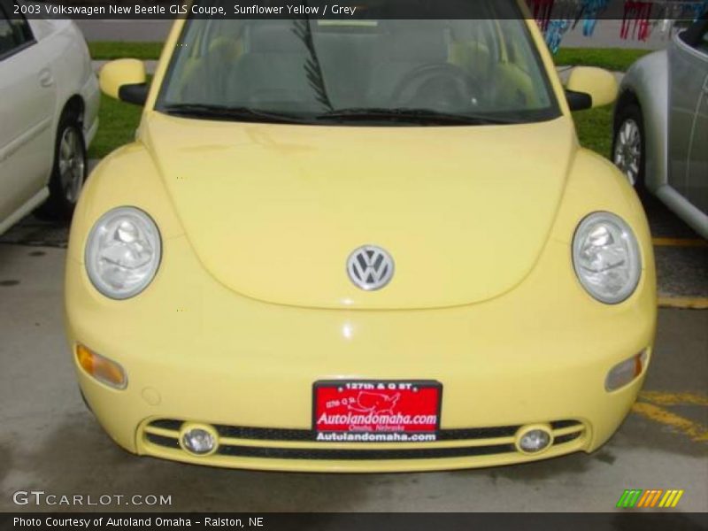 Sunflower Yellow / Grey 2003 Volkswagen New Beetle GLS Coupe