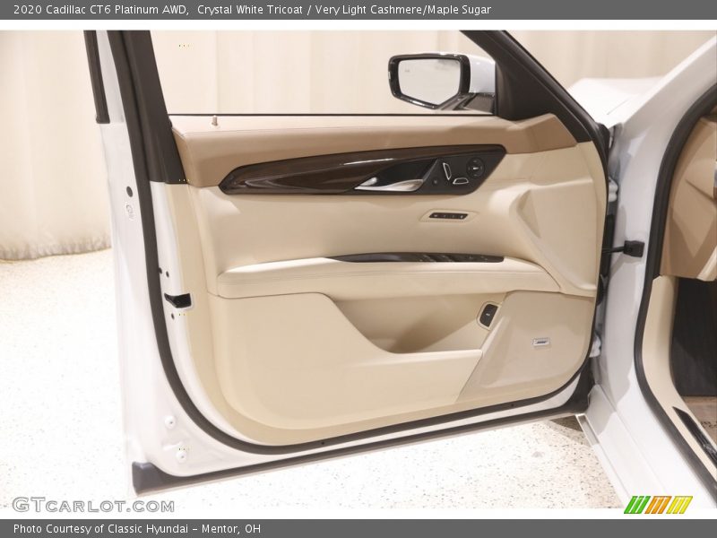 Door Panel of 2020 CT6 Platinum AWD