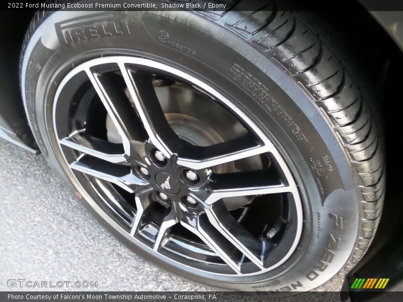 Shadow Black / Ebony 2022 Ford Mustang Ecoboost Premium Convertible