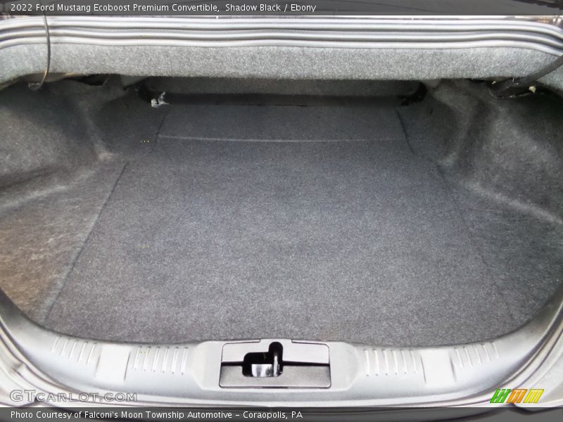 Shadow Black / Ebony 2022 Ford Mustang Ecoboost Premium Convertible