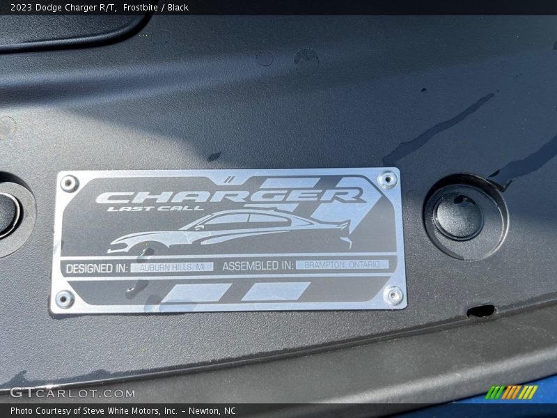 Frostbite / Black 2023 Dodge Charger R/T
