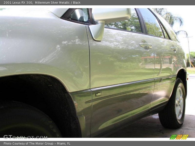 Millennium Silver Metallic / Black 2001 Lexus RX 300