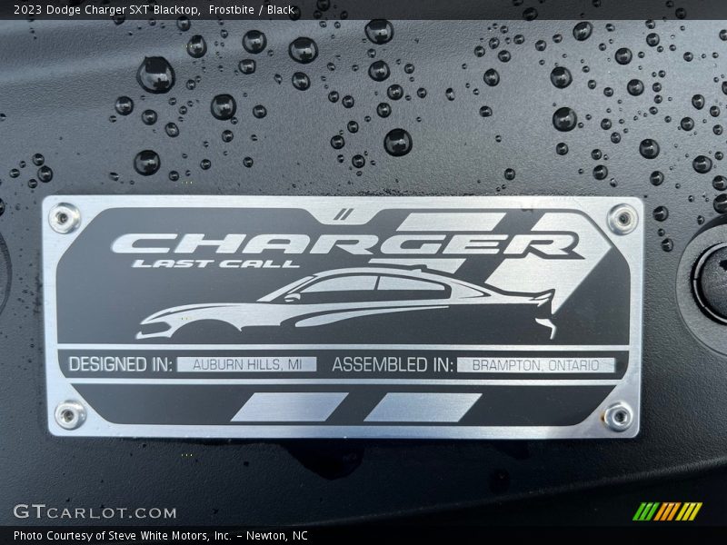 Frostbite / Black 2023 Dodge Charger SXT Blacktop