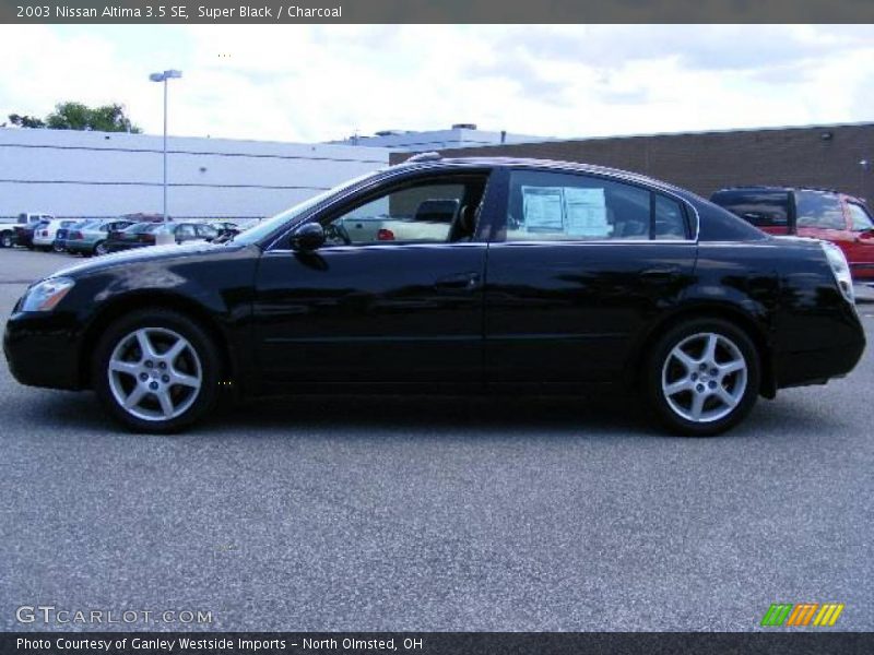 Super Black / Charcoal 2003 Nissan Altima 3.5 SE