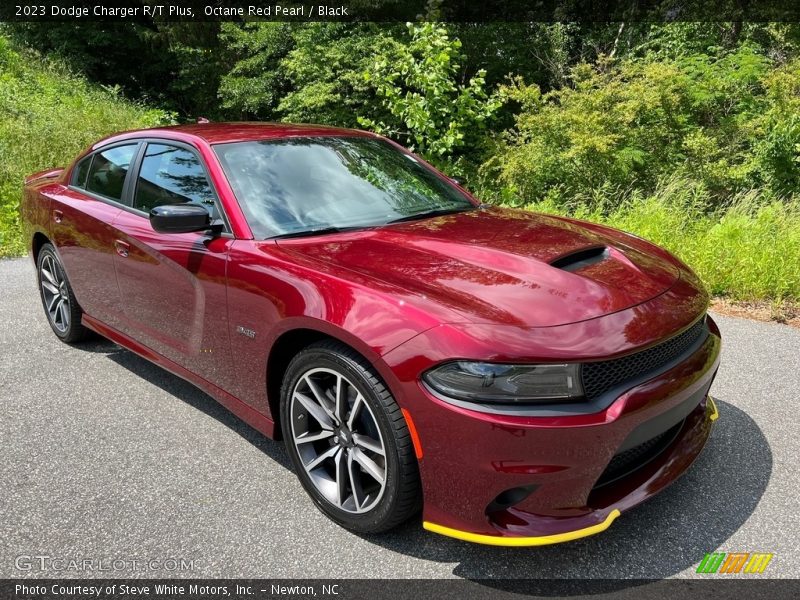Front 3/4 View of 2023 Charger R/T Plus