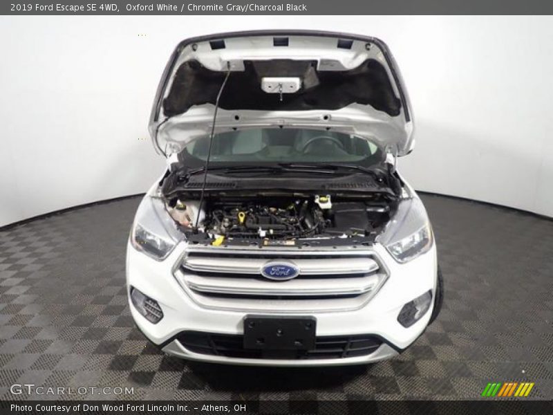 Oxford White / Chromite Gray/Charcoal Black 2019 Ford Escape SE 4WD