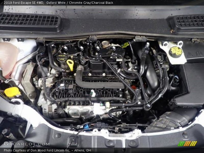 Oxford White / Chromite Gray/Charcoal Black 2019 Ford Escape SE 4WD