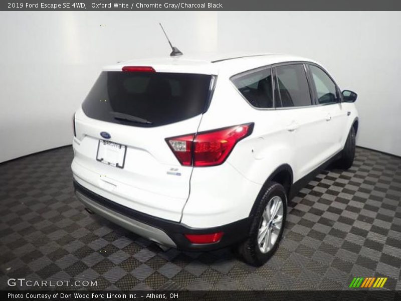 Oxford White / Chromite Gray/Charcoal Black 2019 Ford Escape SE 4WD