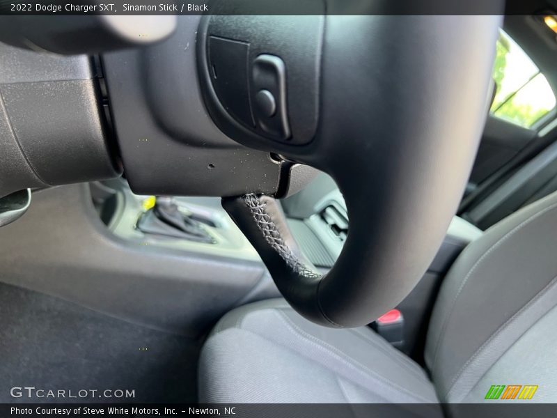 Sinamon Stick / Black 2022 Dodge Charger SXT