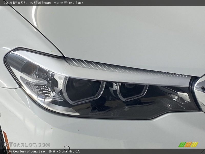 Alpine White / Black 2019 BMW 5 Series 530i Sedan