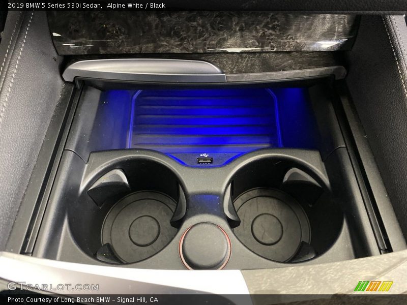 Alpine White / Black 2019 BMW 5 Series 530i Sedan