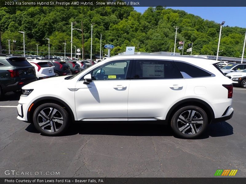  2023 Sorento Hybrid SX Prestige AWD Hybrid Snow White Pearl