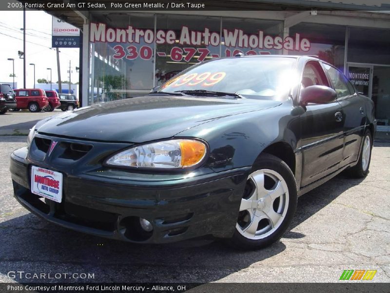 Polo Green Metallic / Dark Taupe 2003 Pontiac Grand Am GT Sedan