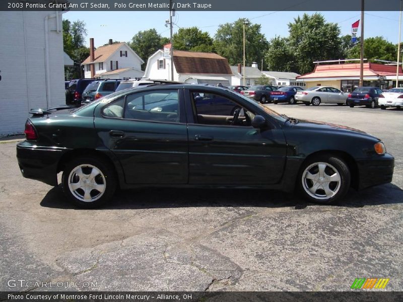 Polo Green Metallic / Dark Taupe 2003 Pontiac Grand Am GT Sedan