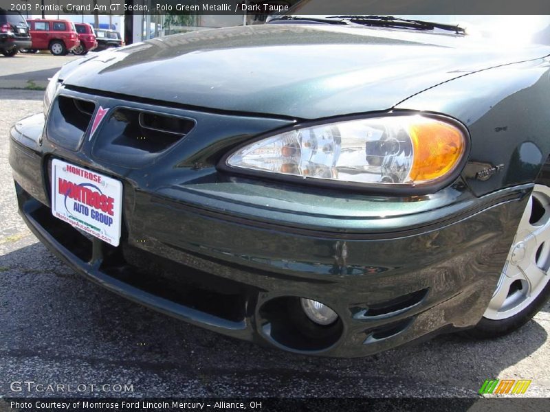 Polo Green Metallic / Dark Taupe 2003 Pontiac Grand Am GT Sedan
