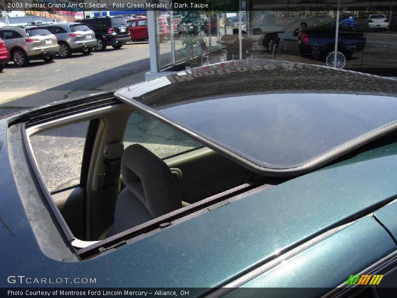Polo Green Metallic / Dark Taupe 2003 Pontiac Grand Am GT Sedan