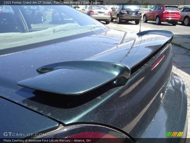 Polo Green Metallic / Dark Taupe 2003 Pontiac Grand Am GT Sedan