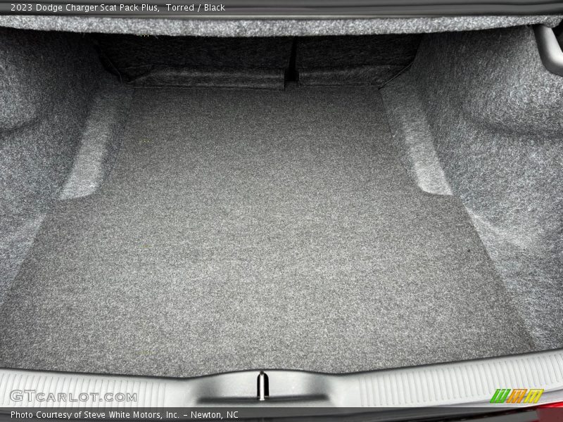 Torred / Black 2023 Dodge Charger Scat Pack Plus