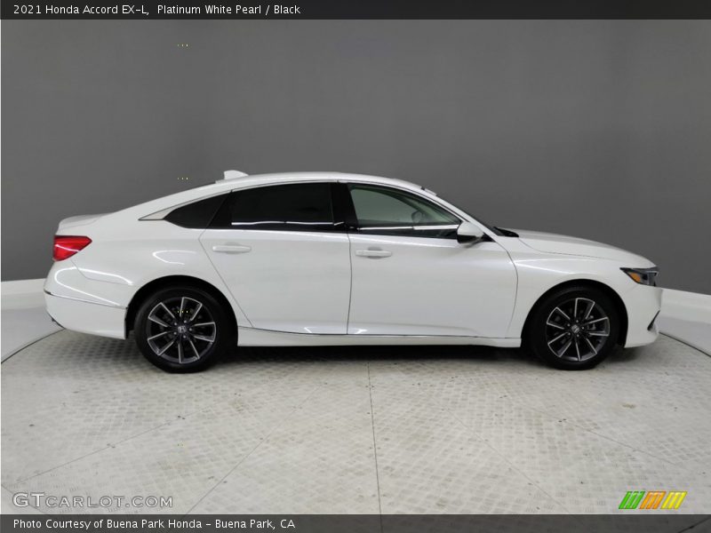  2021 Accord EX-L Platinum White Pearl