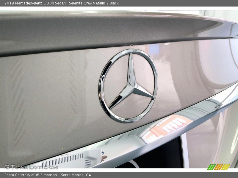 Selenite Grey Metallic / Black 2019 Mercedes-Benz C 300 Sedan