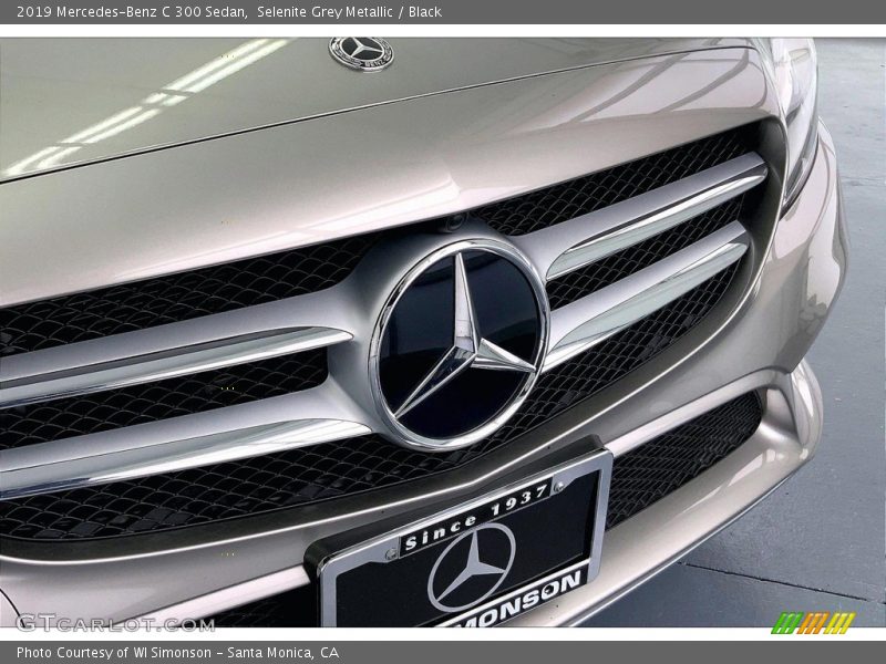 Selenite Grey Metallic / Black 2019 Mercedes-Benz C 300 Sedan