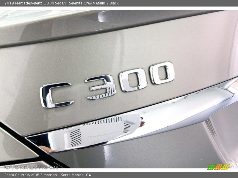 Selenite Grey Metallic / Black 2019 Mercedes-Benz C 300 Sedan