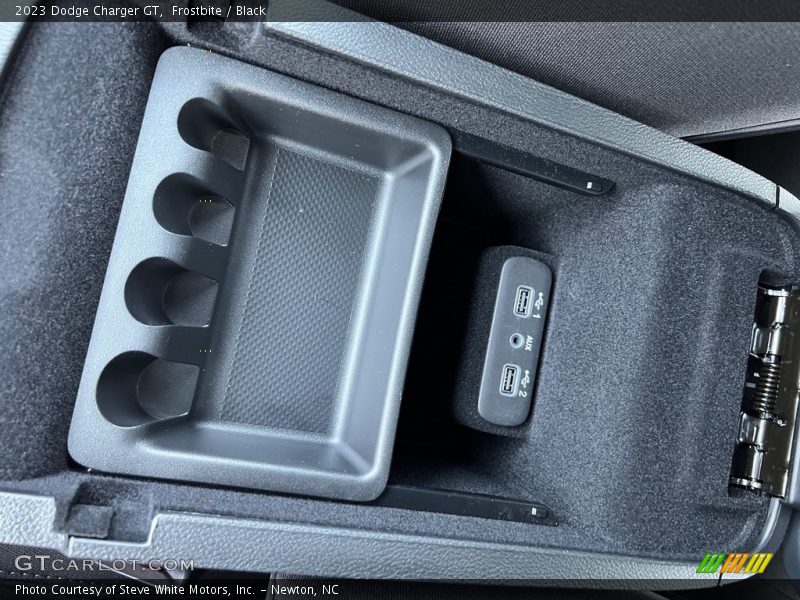 Frostbite / Black 2023 Dodge Charger GT