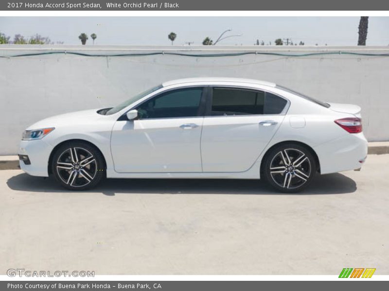 White Orchid Pearl / Black 2017 Honda Accord Sport Sedan