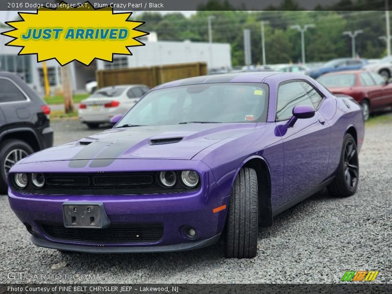 Plum Crazy Pearl / Black 2016 Dodge Challenger SXT