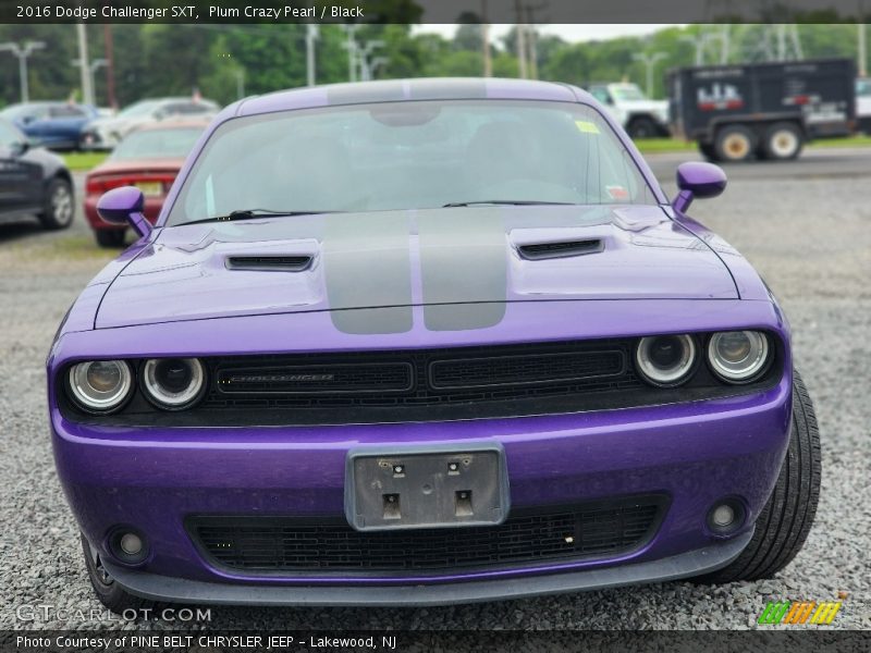 Plum Crazy Pearl / Black 2016 Dodge Challenger SXT