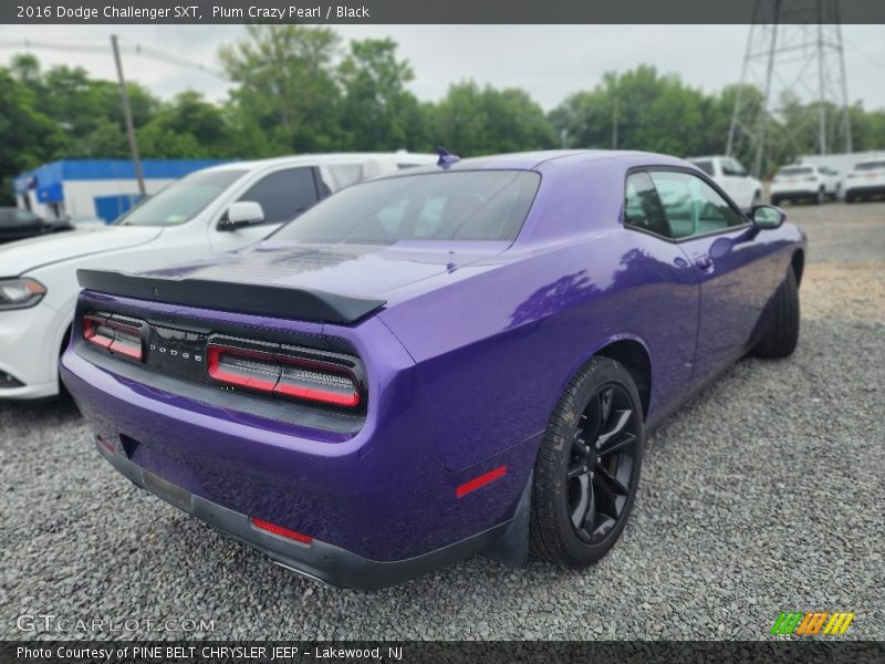 Plum Crazy Pearl / Black 2016 Dodge Challenger SXT