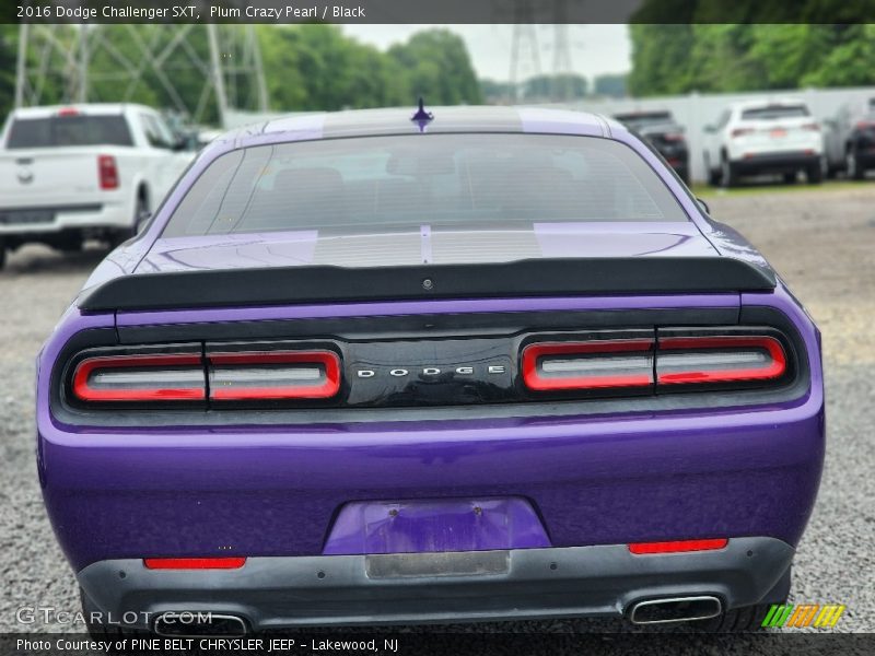 Plum Crazy Pearl / Black 2016 Dodge Challenger SXT