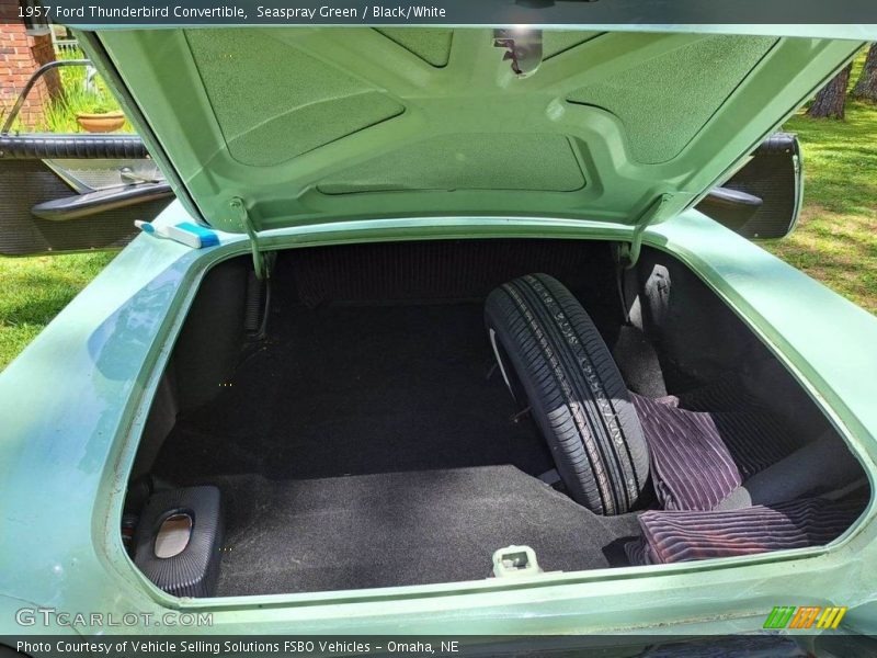  1957 Thunderbird Convertible Trunk