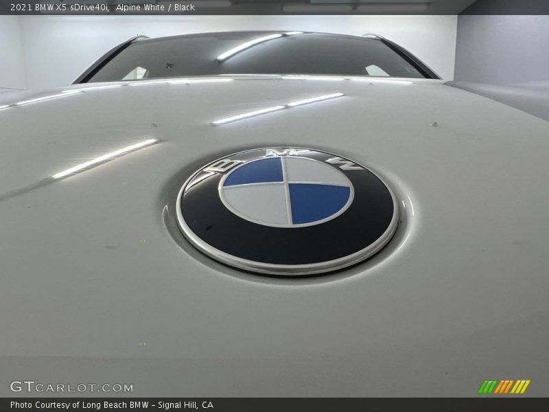 Alpine White / Black 2021 BMW X5 sDrive40i