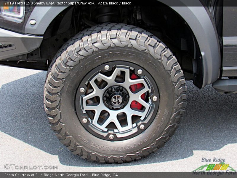 Agate Black / Black 2019 Ford F150 Shelby BAJA Raptor SuperCrew 4x4