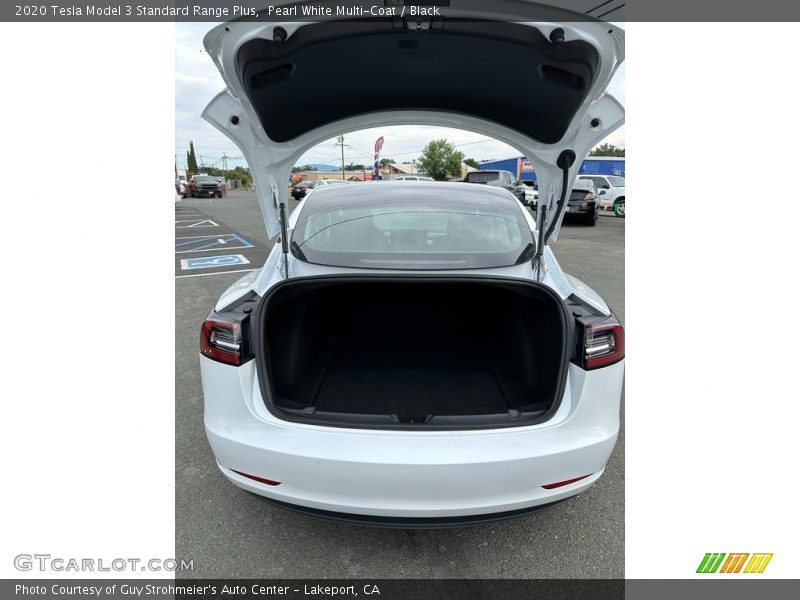 Pearl White Multi-Coat / Black 2020 Tesla Model 3 Standard Range Plus