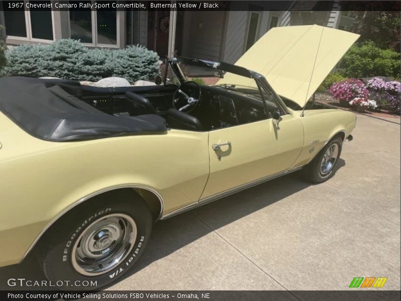 Butternut Yellow / Black 1967 Chevrolet Camaro Rally Sport Convertible